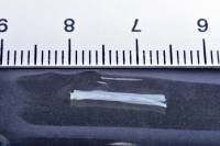 Fibres musculaires de crabe - eau distillée + HCN + CaCl2